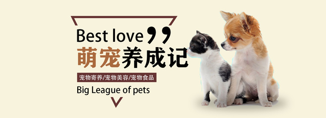 元宵晚会值得看吗
